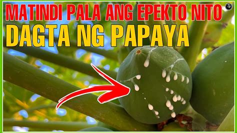 bold dalaga|Pina Lunok Ng Dagta Ang Bagong Pasok Na Dalaga Sa Kulungan.